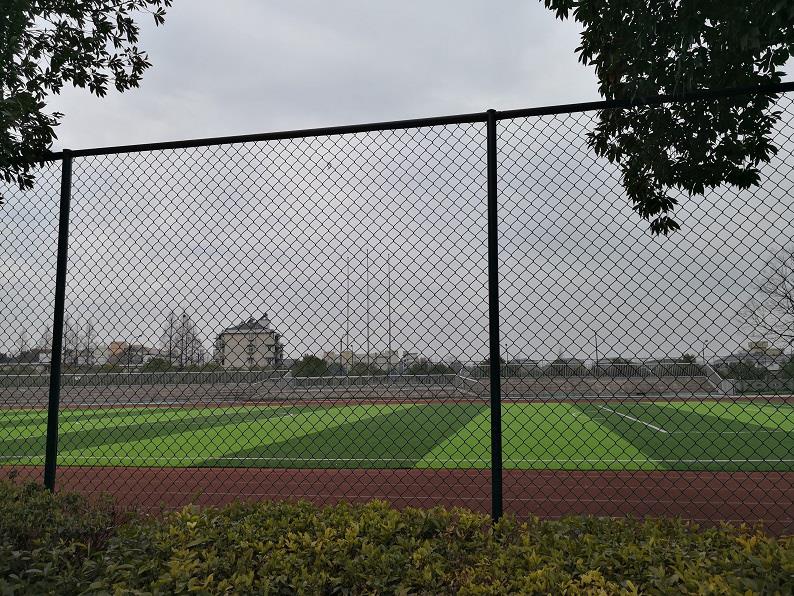 z6.com(中國區)官方網站